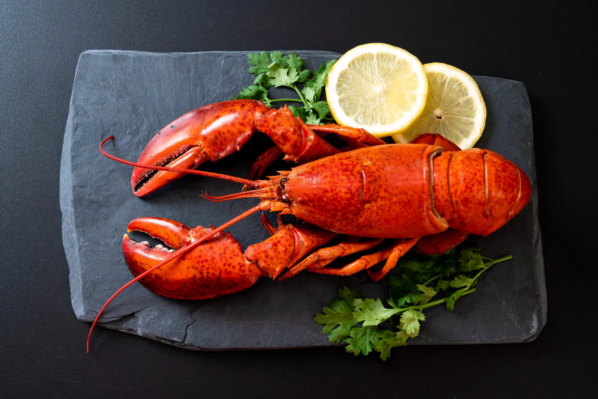 Cum se prepara si se consuma homarul?