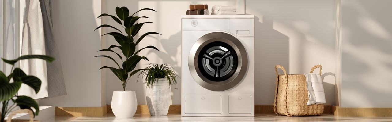 intretinerea_masinii_de_spalat_desktop