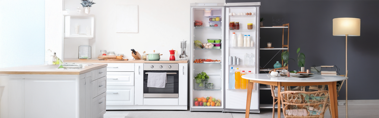 cat consuma un frigider