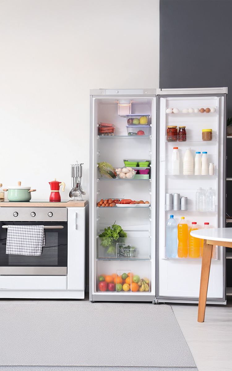 cat consuma un frigider