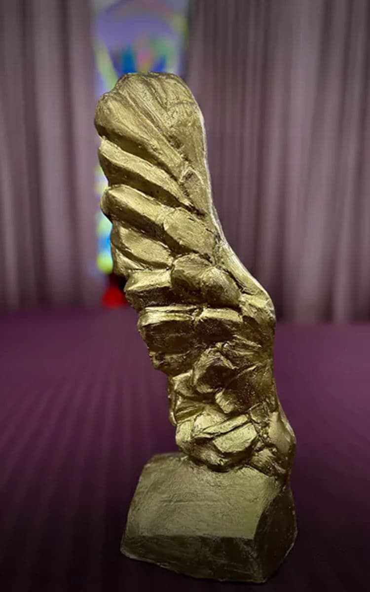 premiu_sustenabilitate_mobile