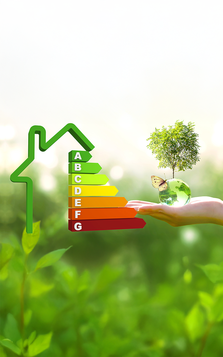 eticheta energetica