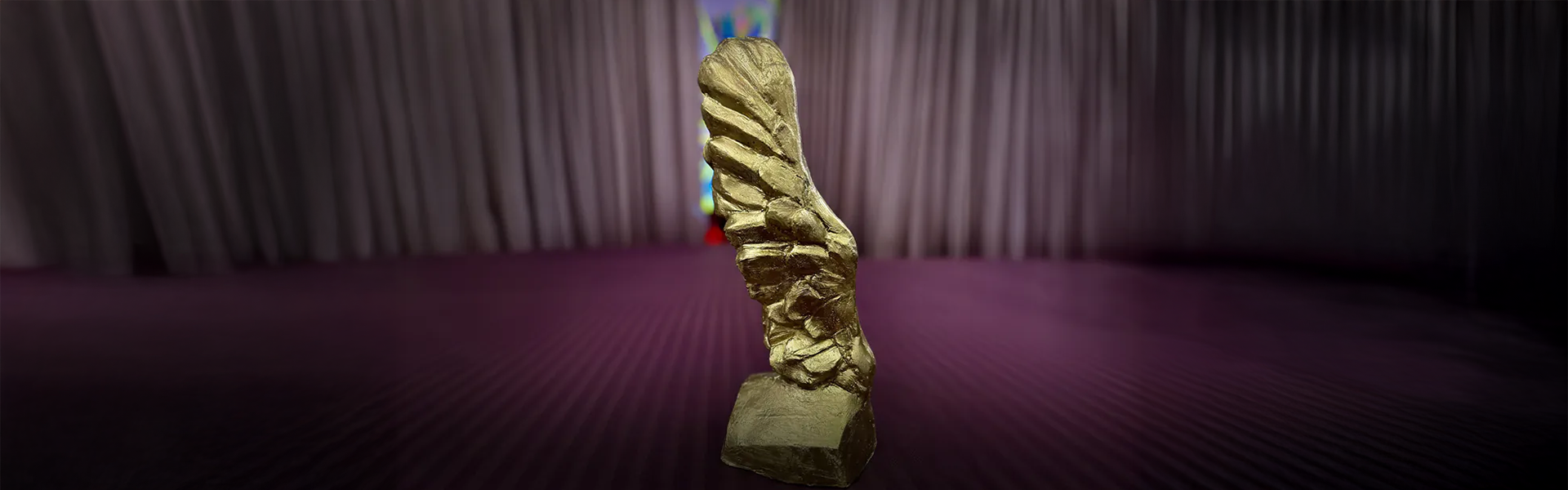 Arctic: Campionul Sustenabilitatii la Gala BrandRO 2024